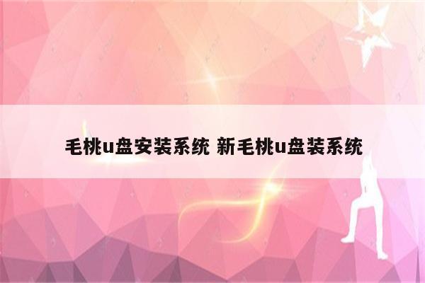 毛桃u盘安装系统 新毛桃u盘装系统