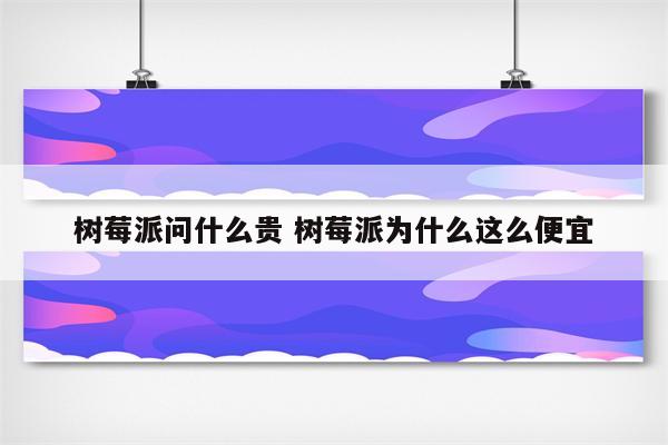 树莓派问什么贵 树莓派为什么这么便宜