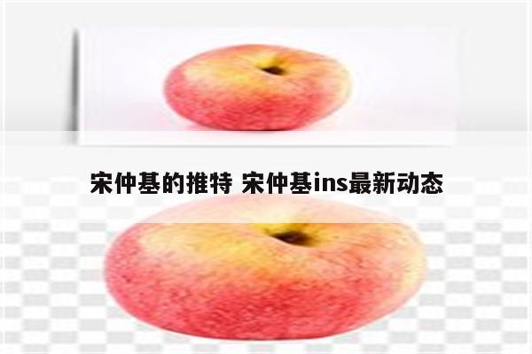 宋仲基的推特 宋仲基ins最新动态