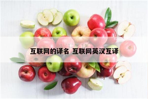 互联网的译名 互联网英汉互译