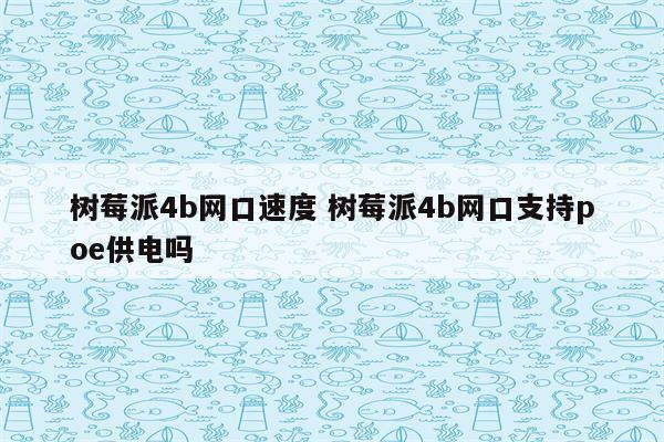 树莓派4b网口速度 树莓派4b网口支持poe供电吗