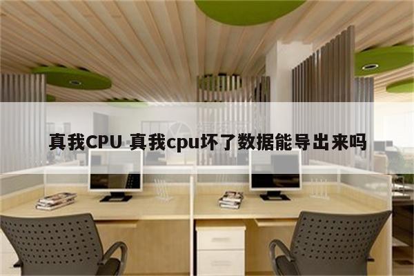 真我CPU 真我cpu坏了数据能导出来吗