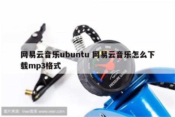 网易云音乐ubuntu 网易云音乐怎么下载mp3格式