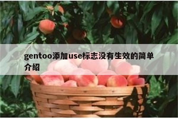 gentoo添加use标志没有生效的简单介绍