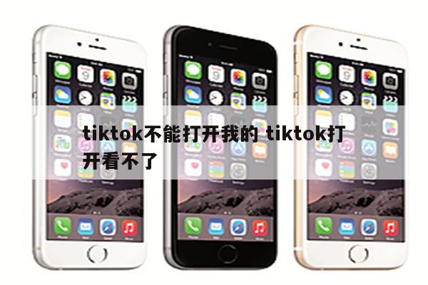 tiktok不能打开我的 tiktok打开看不了