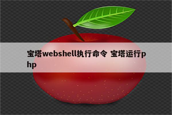 详细阅读:宝塔webshell执行命令 宝塔运行php 宝塔webshell执行命令 宝塔运行php