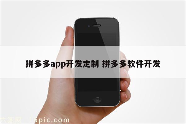 拼多多app开发定制 拼多多软件开发