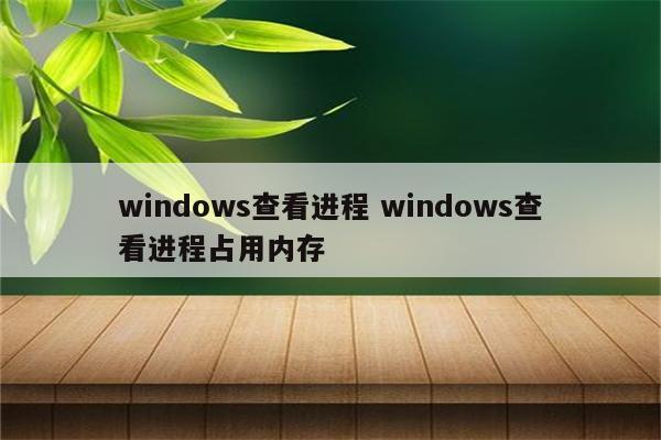 windows查看进程 windows查看进程占用内存