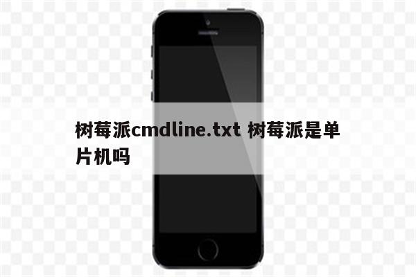 树莓派cmdline.txt 树莓派是单片机吗