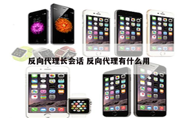 详细阅读:反向代理长会话 反向代理有什么用 反向代理长会话 反向代理有什么用