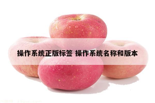 操作系统正版标签 操作系统名称和版本