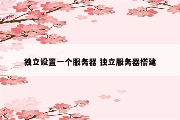 独立设置一个服务器 独立服务器搭建