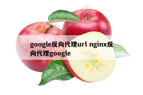 google反向代理url nginx反向代理google