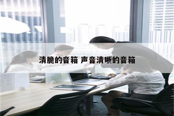 清脆的音箱 声音清晰的音箱