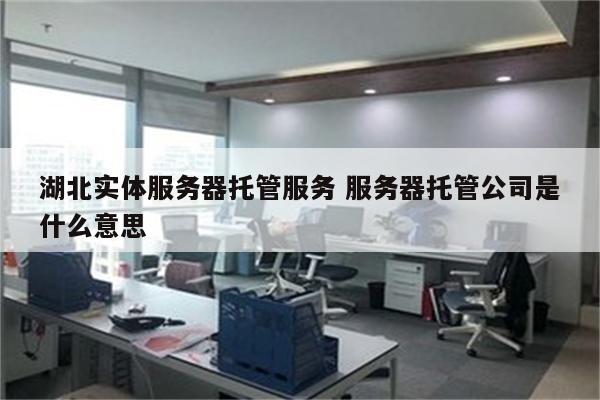 湖北实体服务器托管服务 服务器托管公司是什么意思