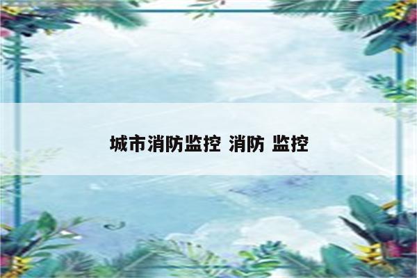 城市消防监控 消防 监控