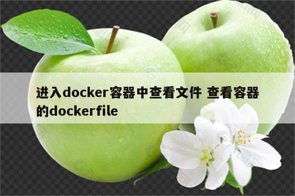 进入docker容器中查看文件 查看容器的dockerfile