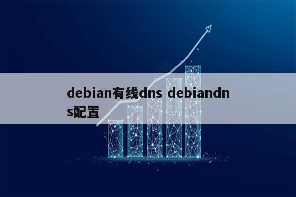 debian有线dns debiandns配置