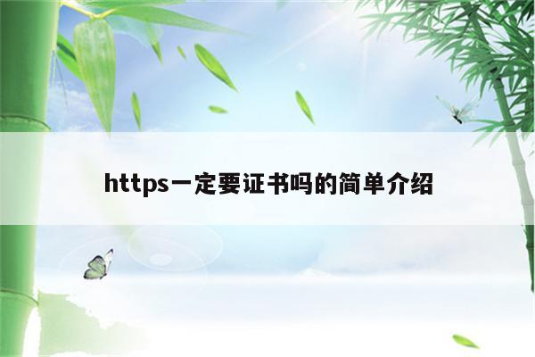https一定要证书吗的简单介绍
