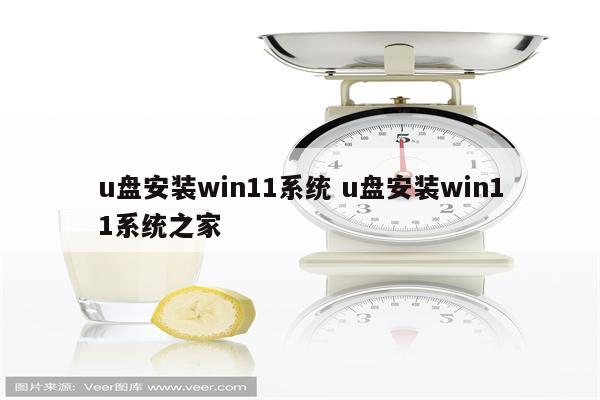 u盘安装win11系统 u盘安装win11系统之家