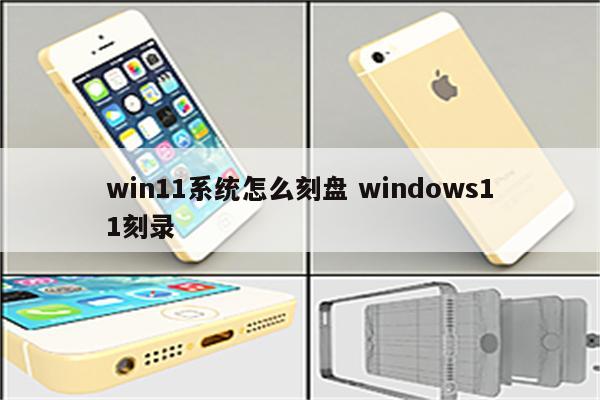 win11系统怎么刻盘 windows11刻录