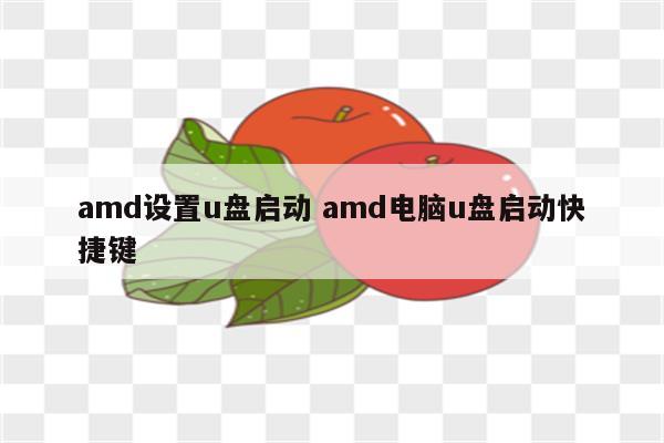 amd设置u盘启动 amd电脑u盘启动快捷键