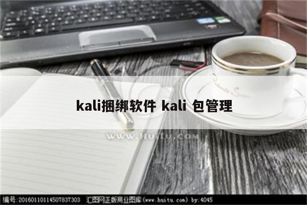 kali捆绑软件 kali 包管理