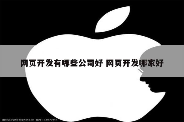 网页开发有哪些公司好 网页开发哪家好