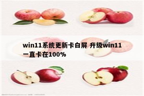 win11系统更新卡白屏 升级win11一直卡在100%