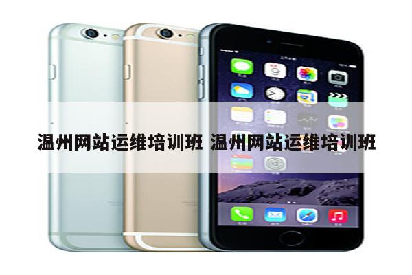 温州网站运维培训班 温州网站运维培训班