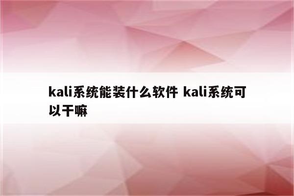 kali系统能装什么软件 kali系统可以干嘛