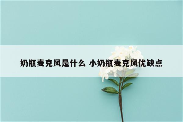 奶瓶麦克风是什么 小奶瓶麦克风优缺点
