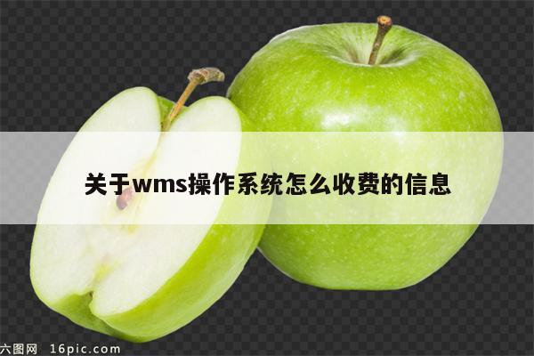 关于wms操作系统怎么收费的信息