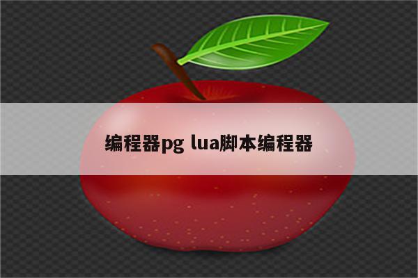 编程器pg lua脚本编程器