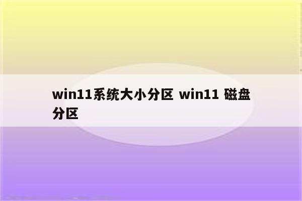 win11系统大小分区 win11 磁盘分区