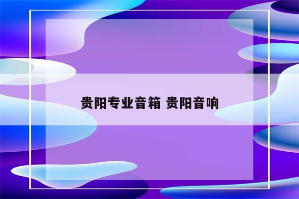 贵阳专业音箱 贵阳音响