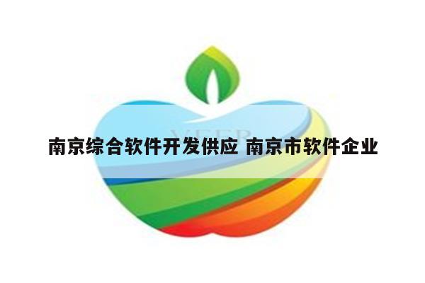 南京综合软件开发供应 南京市软件企业