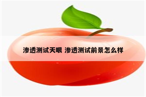 渗透测试天眼 渗透测试前景怎么样