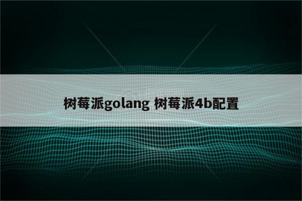 树莓派golang 树莓派4b配置