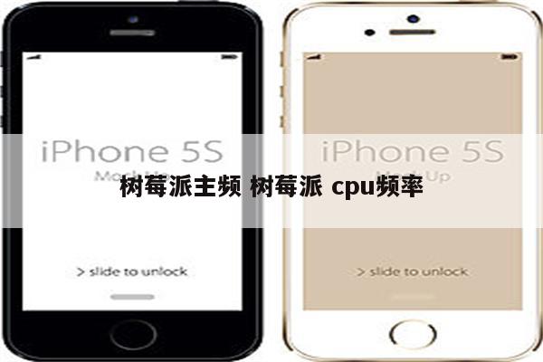 树莓派主频 树莓派 cpu频率