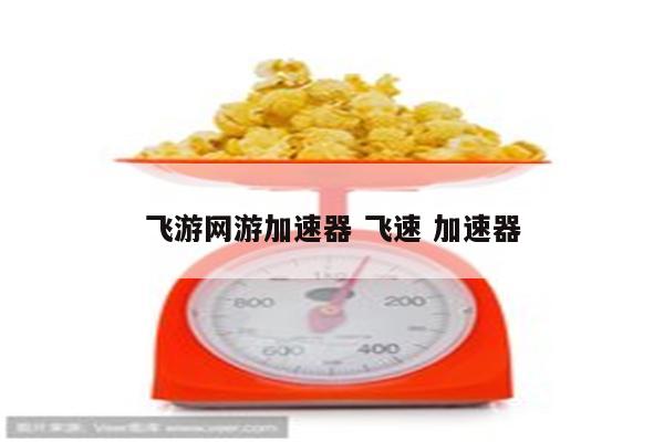 飞游网游加速器 飞速 加速器