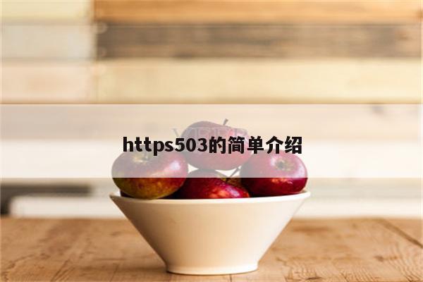 https503的简单介绍