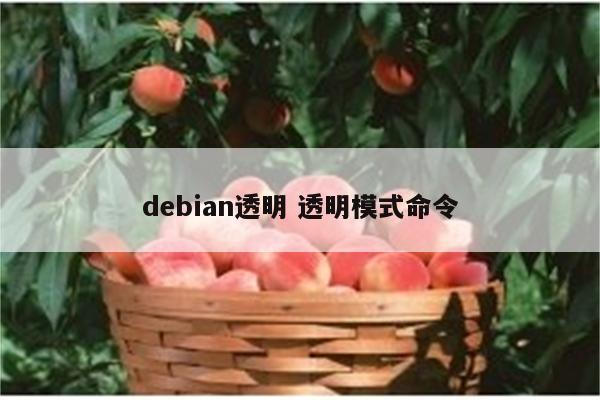 debian透明 透明模式命令
