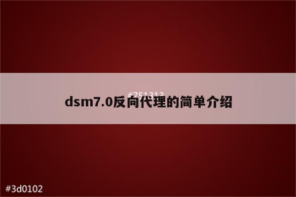 dsm7.0反向代理的简单介绍