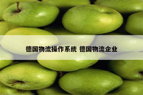 德国物流操作系统 德国物流企业