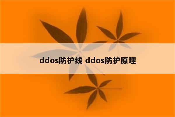 ddos防护线 ddos防护原理