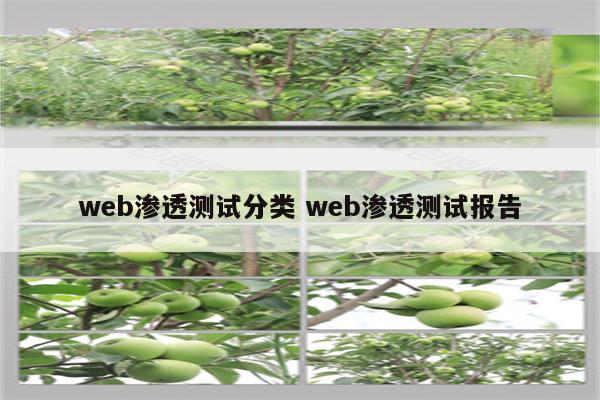 web渗透测试分类 web渗透测试报告