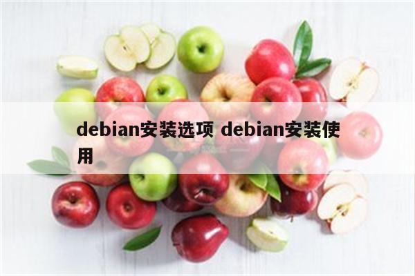 debian安装选项 debian安装使用