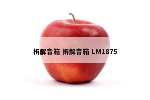 拆解音箱 拆解音箱 LM1875