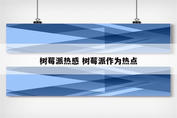 树莓派热感 树莓派作为热点